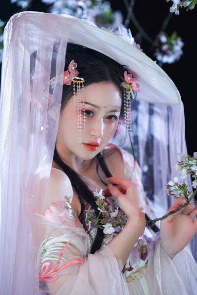 毛片免费全部免费观看