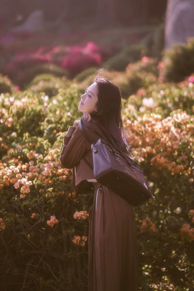 少女高清动漫免费完整版