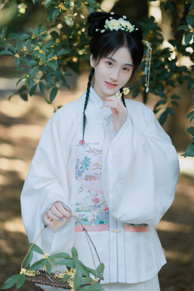 free from 日本在线