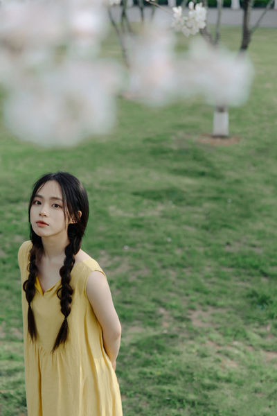 yellow在线免费观看